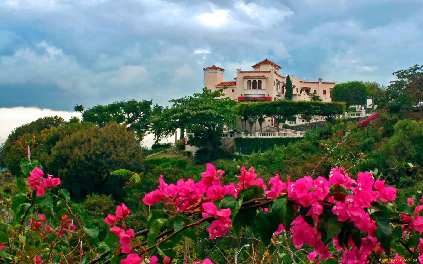 puerto, rico, , 